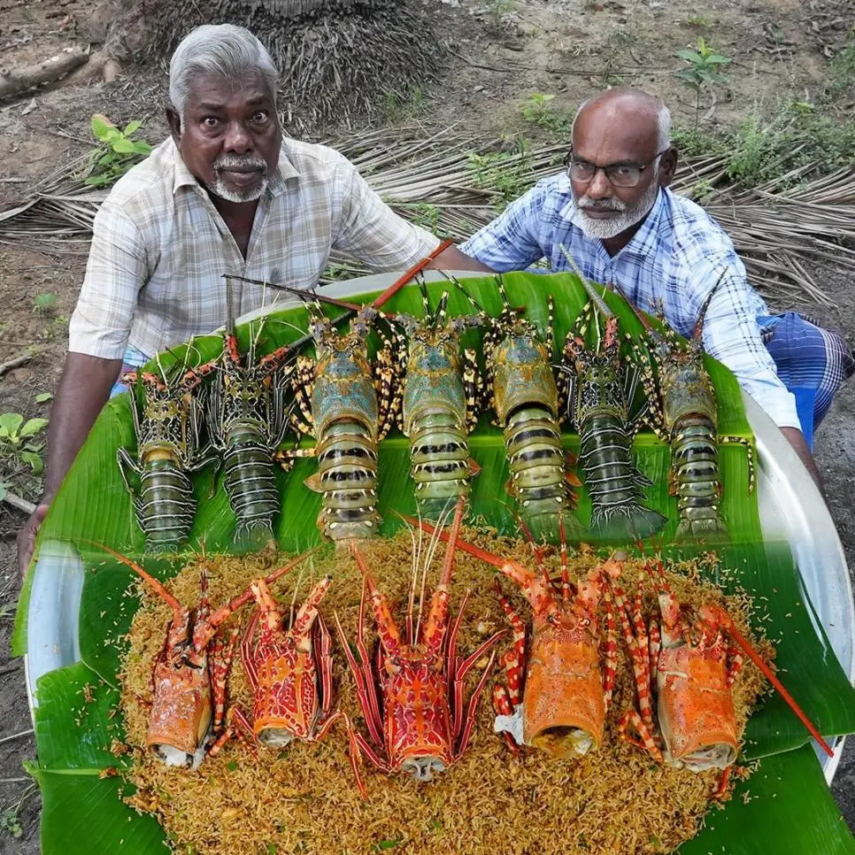 인도에서 판다는 3만원 짜리 랍스터 정식 | mbong.kr 엠봉
