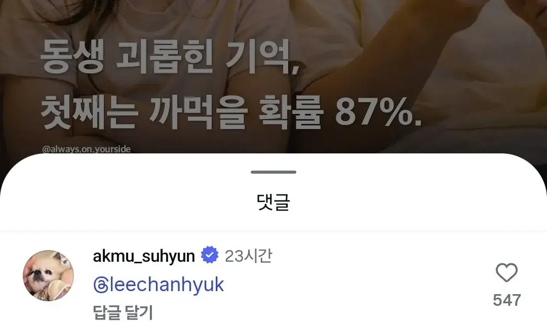 유머) 어떤 인스타 글을 읽고 댓글로 찬혁 태그한 악뮤 수현 | mbong.kr 엠봉