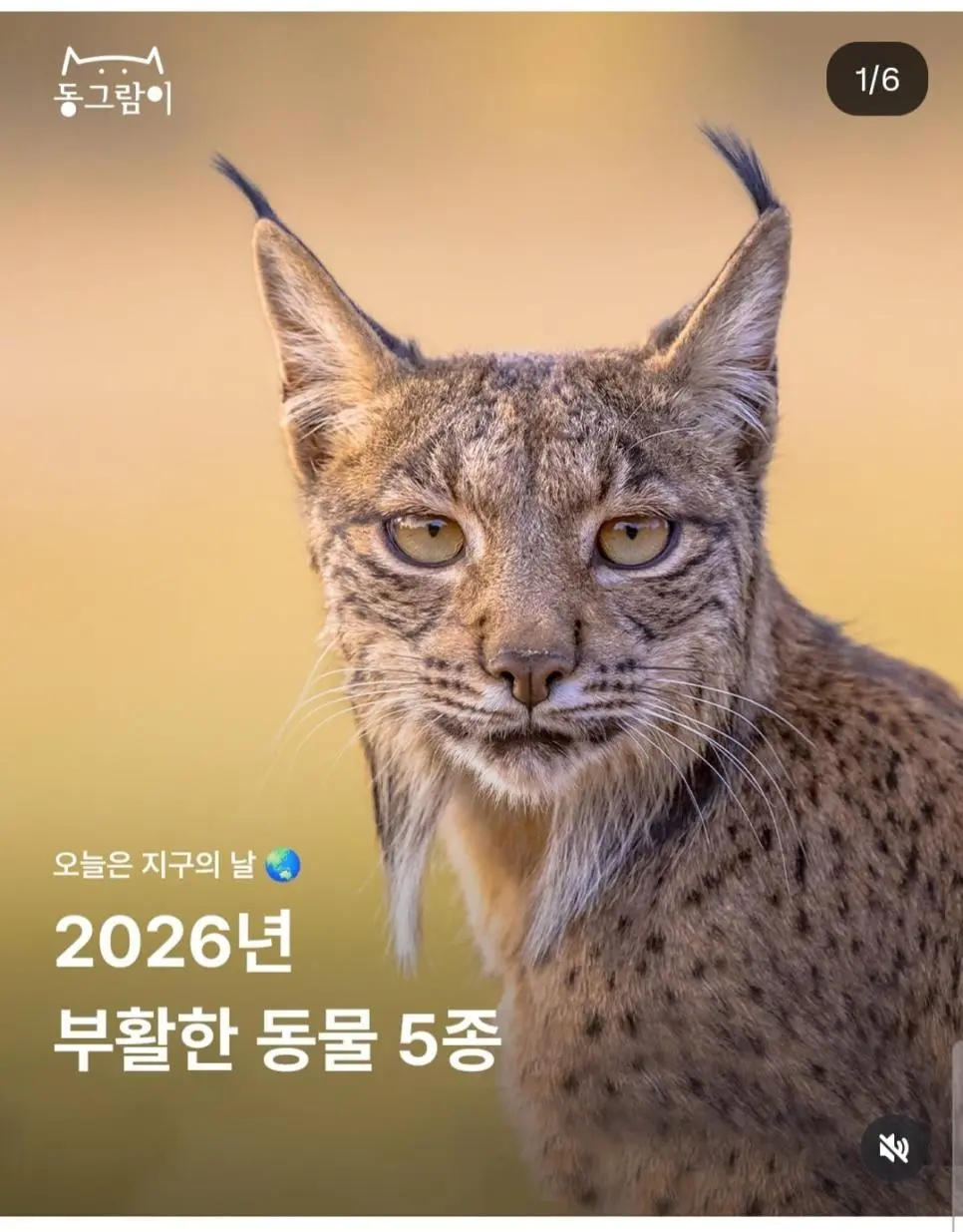 2026 부활한 야생동물 5종 | mbong.kr 엠봉