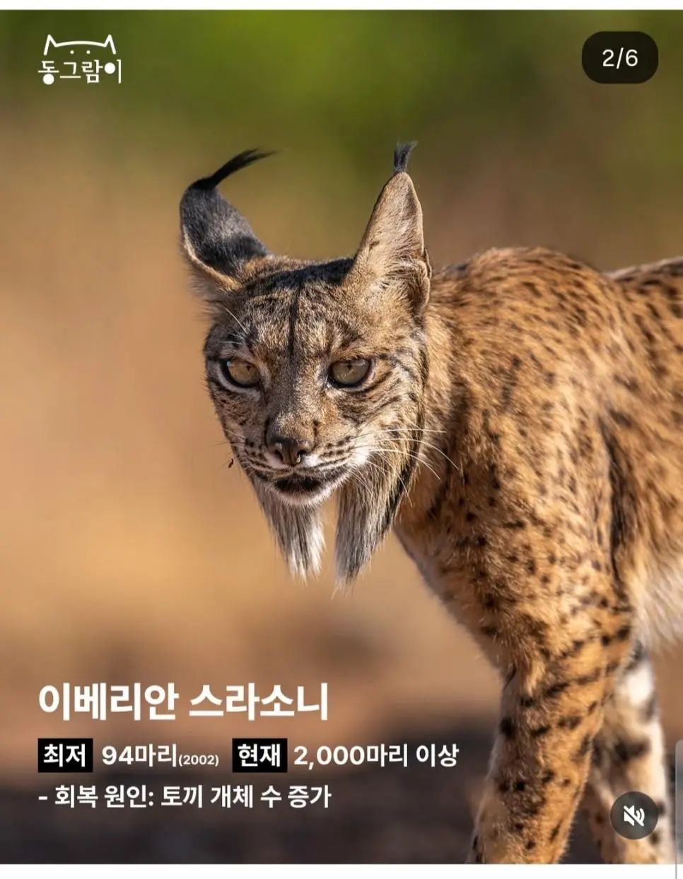 2026 부활한 야생동물 5종 | mbong.kr 엠봉