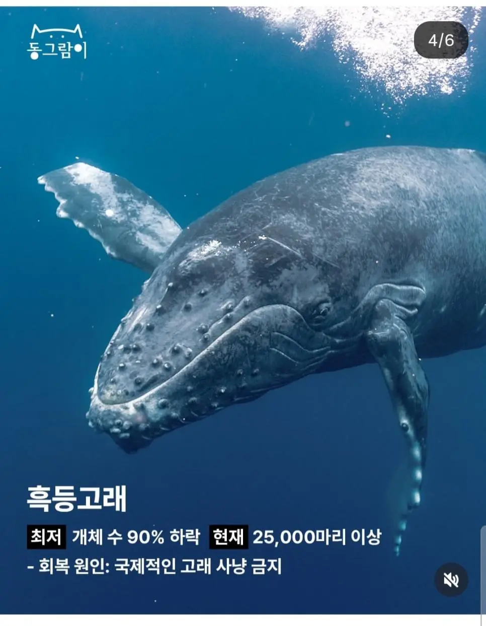 2026 부활한 야생동물 5종 | mbong.kr 엠봉