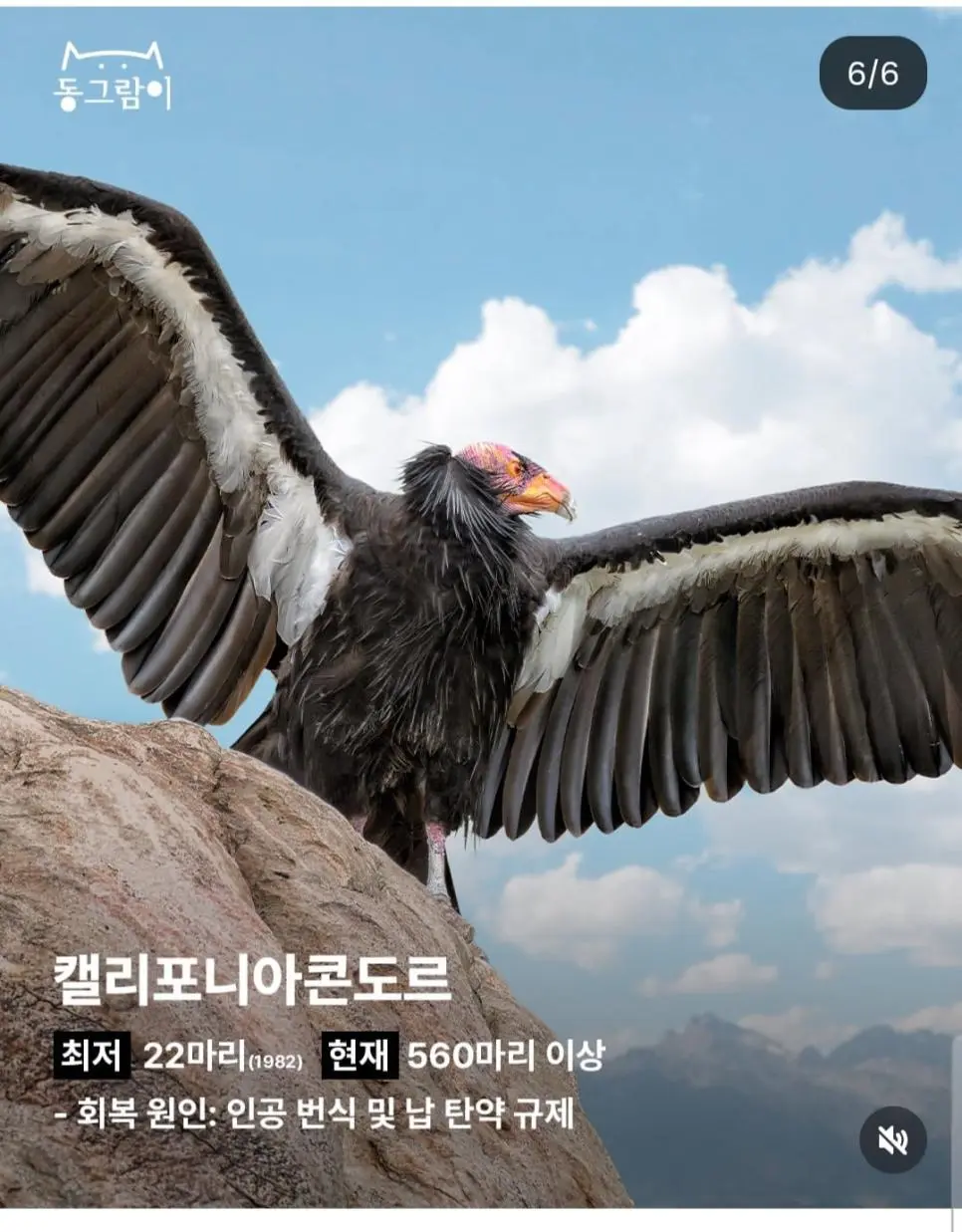 2026 부활한 야생동물 5종 | mbong.kr 엠봉