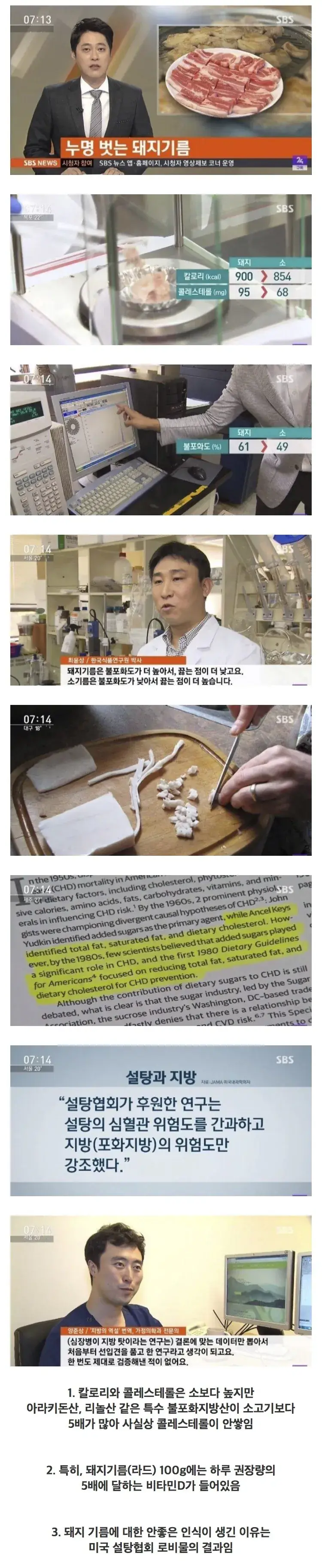 돼지고기 비계가 건강에 좋은 이유 | mbong.kr 엠봉