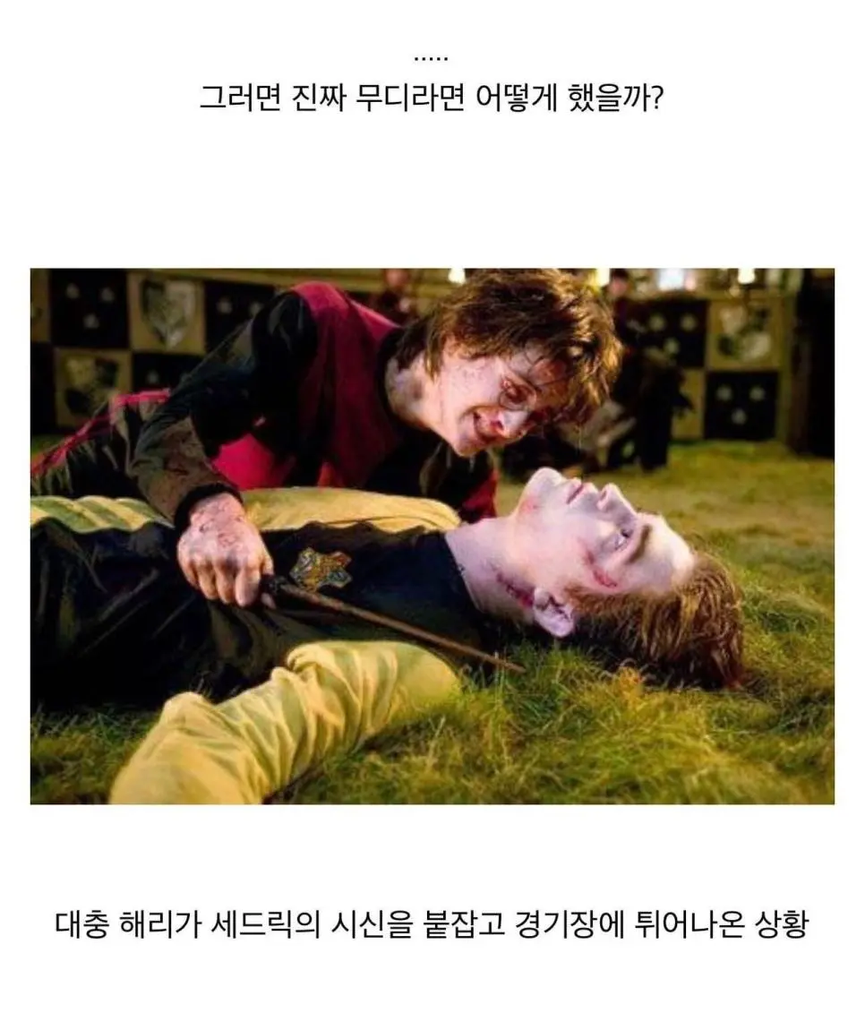 덤블도어가 위장한 죽먹자를 알아본 방법.jpg | mbong.kr 엠봉