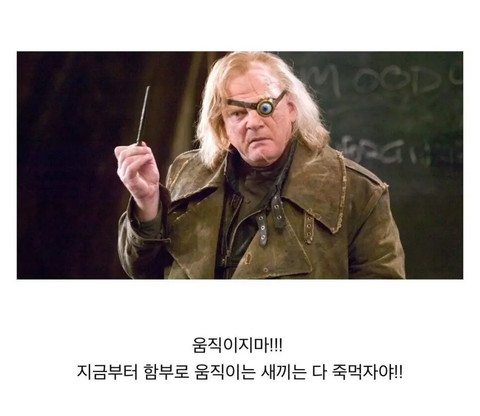 덤블도어가 위장한 죽먹자를 알아본 방법.jpg | mbong.kr 엠봉