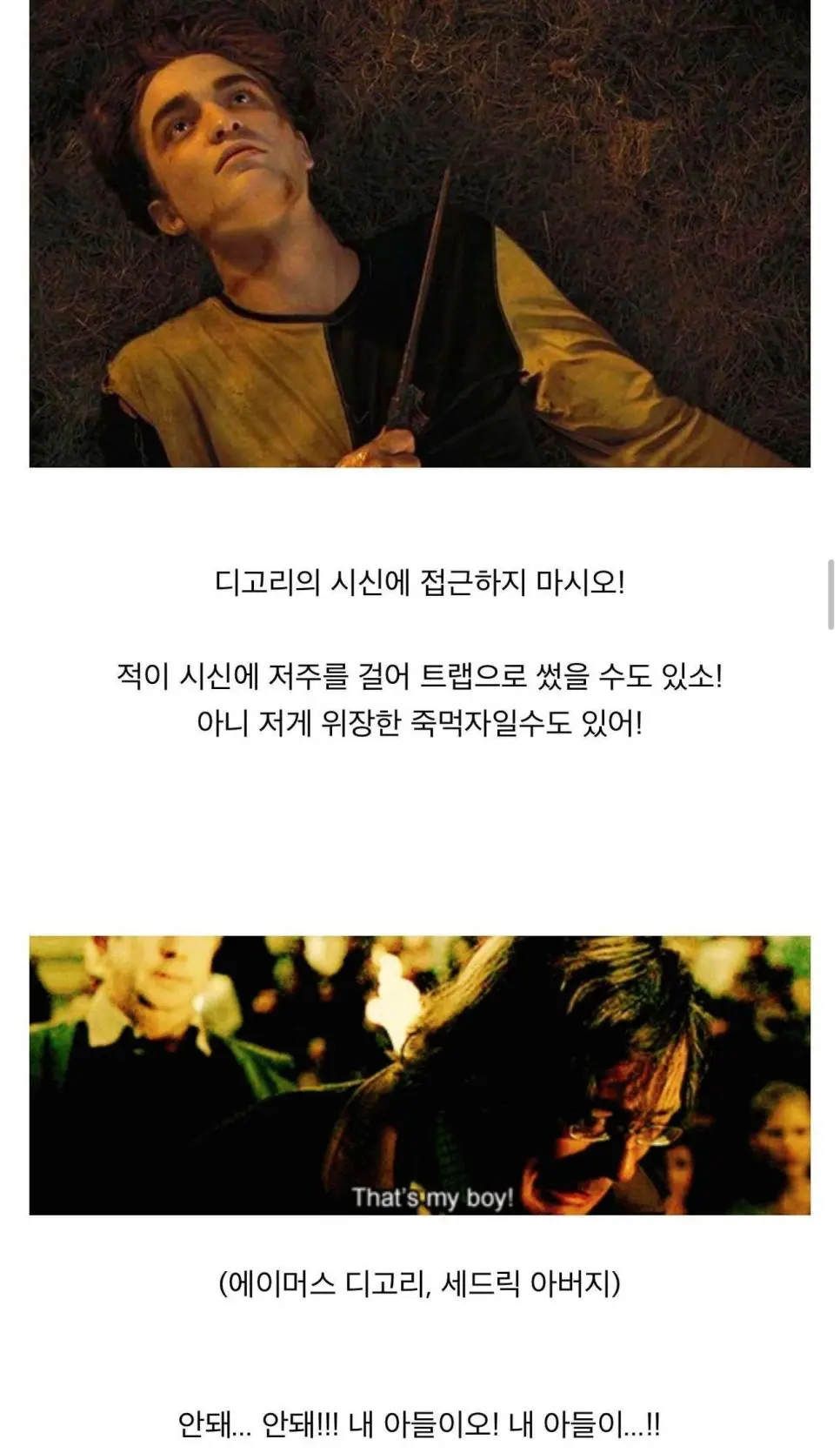 덤블도어가 위장한 죽먹자를 알아본 방법.jpg | mbong.kr 엠봉