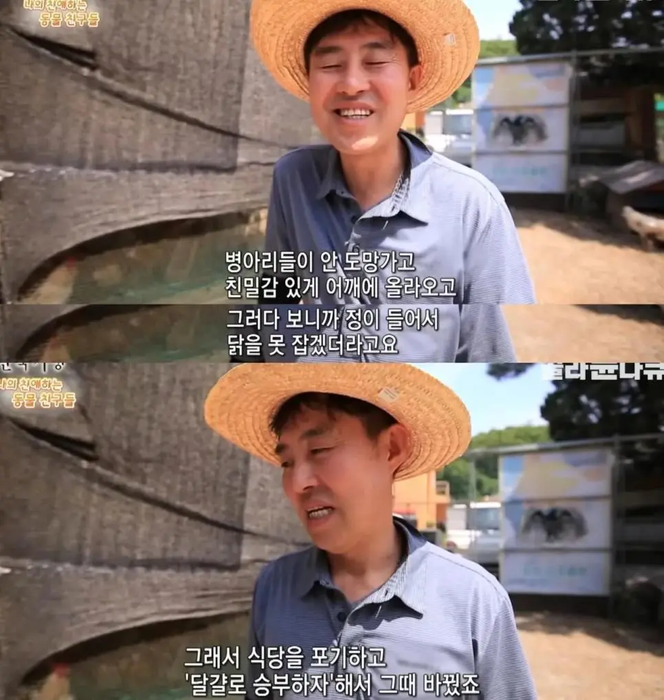 백숙집 차리려고 닭 키우기 시작한 부부의 최후 | mbong.kr 엠봉