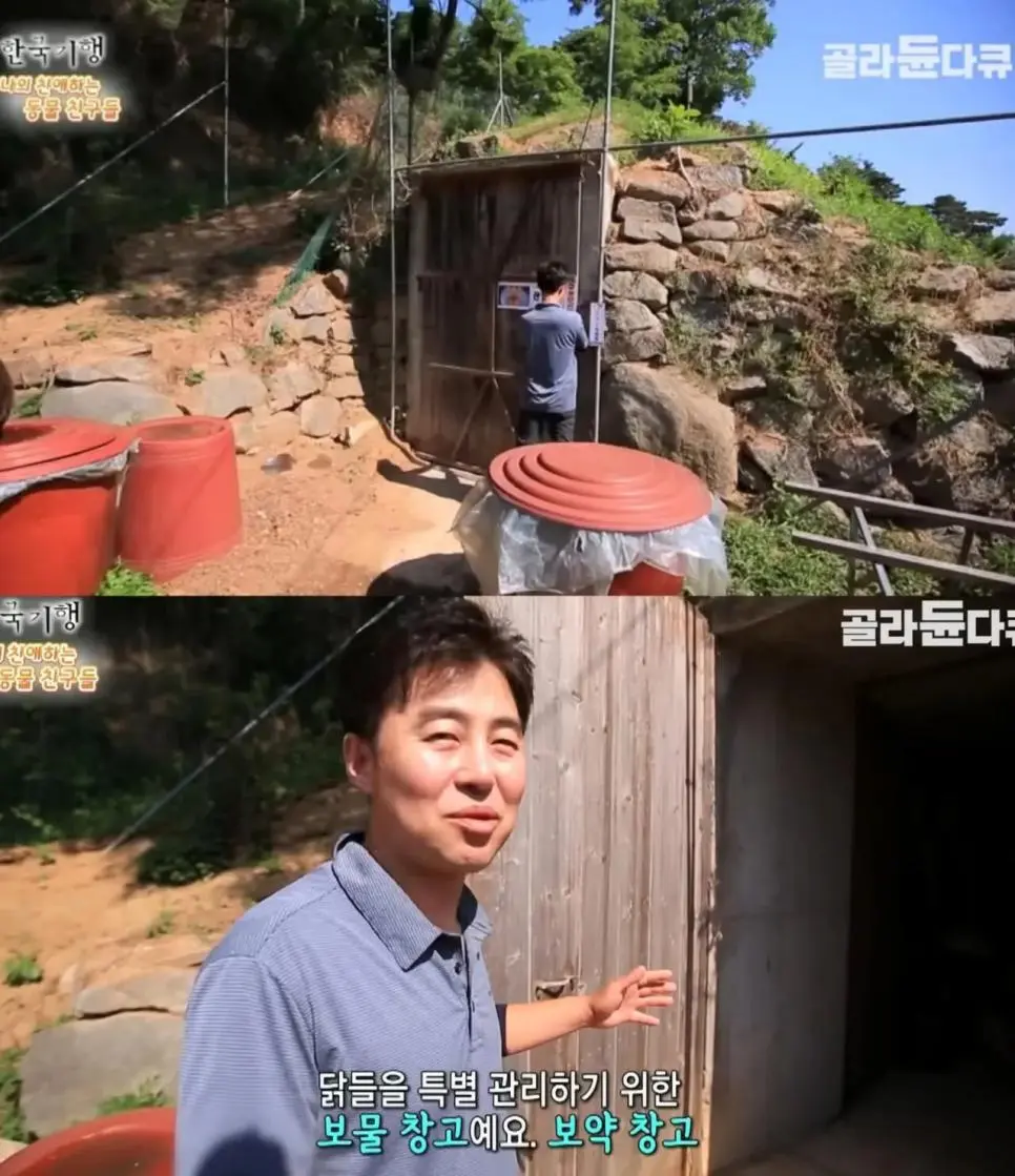 백숙집 차리려고 닭 키우기 시작한 부부의 최후 | mbong.kr 엠봉