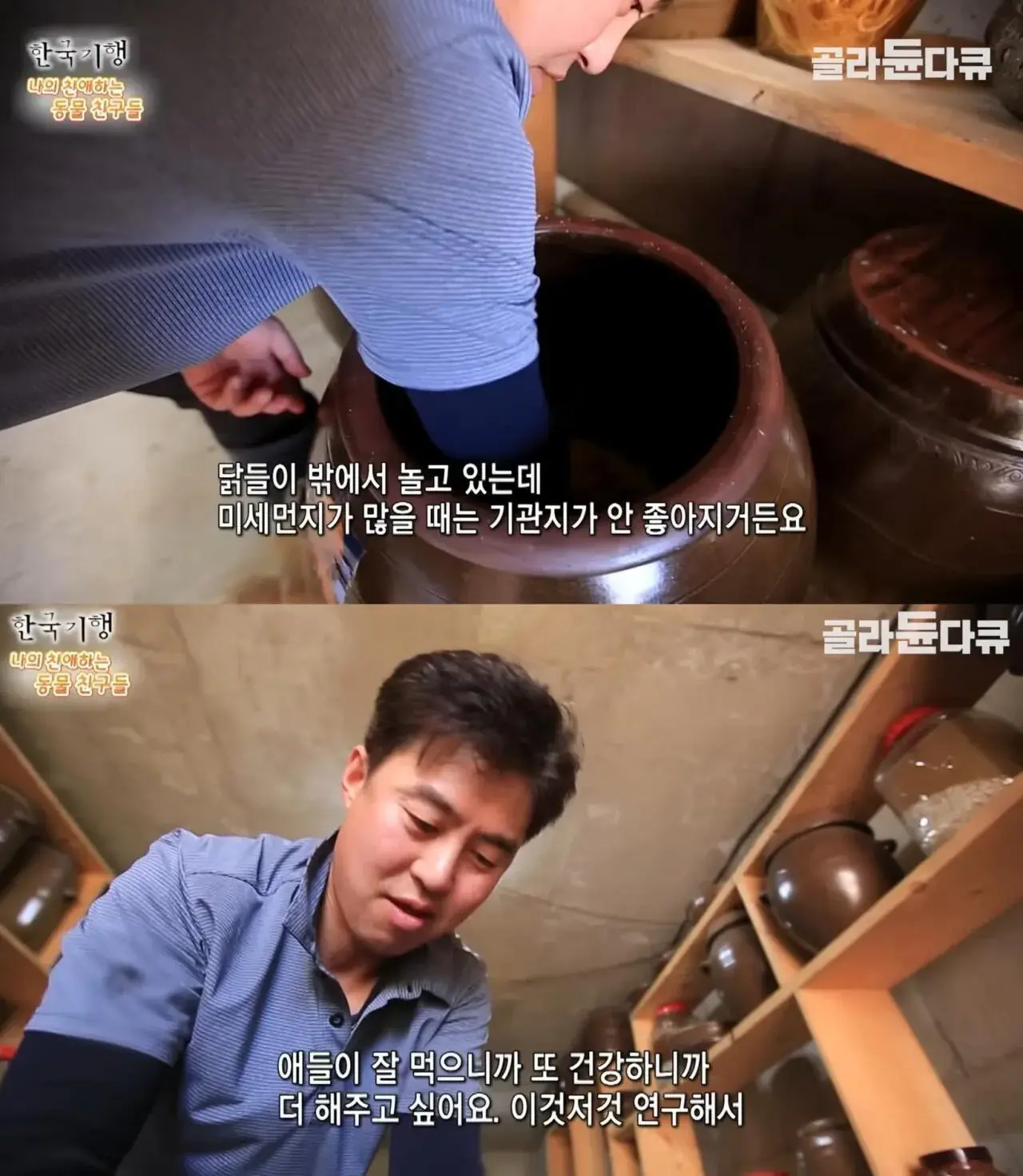 백숙집 차리려고 닭 키우기 시작한 부부의 최후 | mbong.kr 엠봉