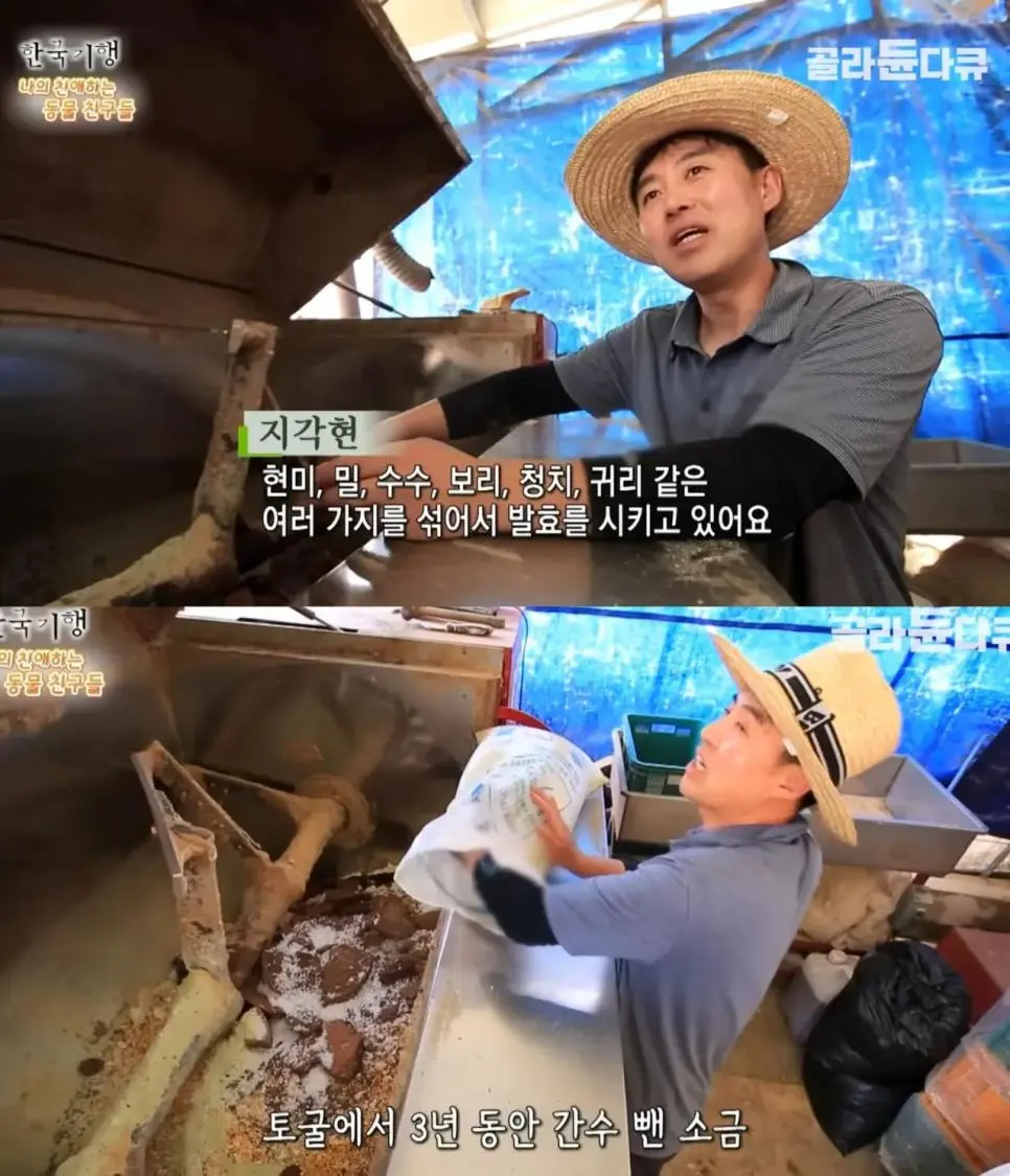 백숙집 차리려고 닭 키우기 시작한 부부의 최후 | mbong.kr 엠봉