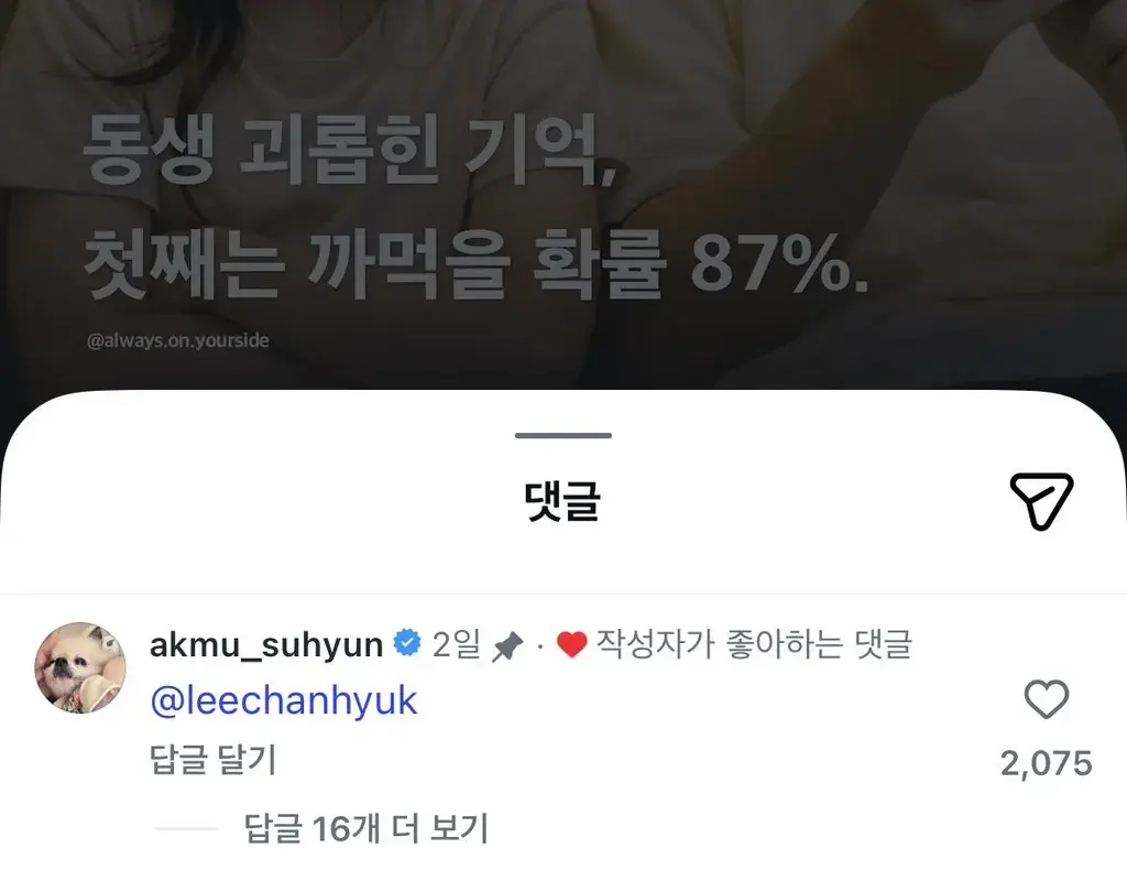 동생괴롭힌기억,첫째는까먹을확률87% | mbong.kr 엠봉