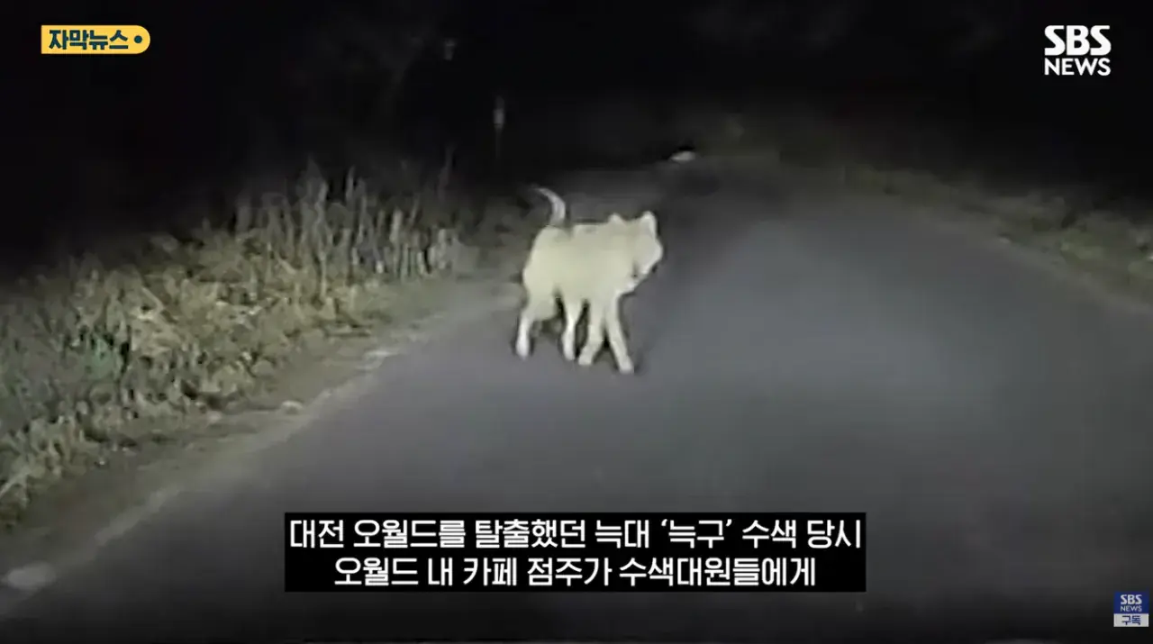 매출 0원이지만 4500잔 커피돌린 이디야커피 오월드점 | mbong.kr 엠봉