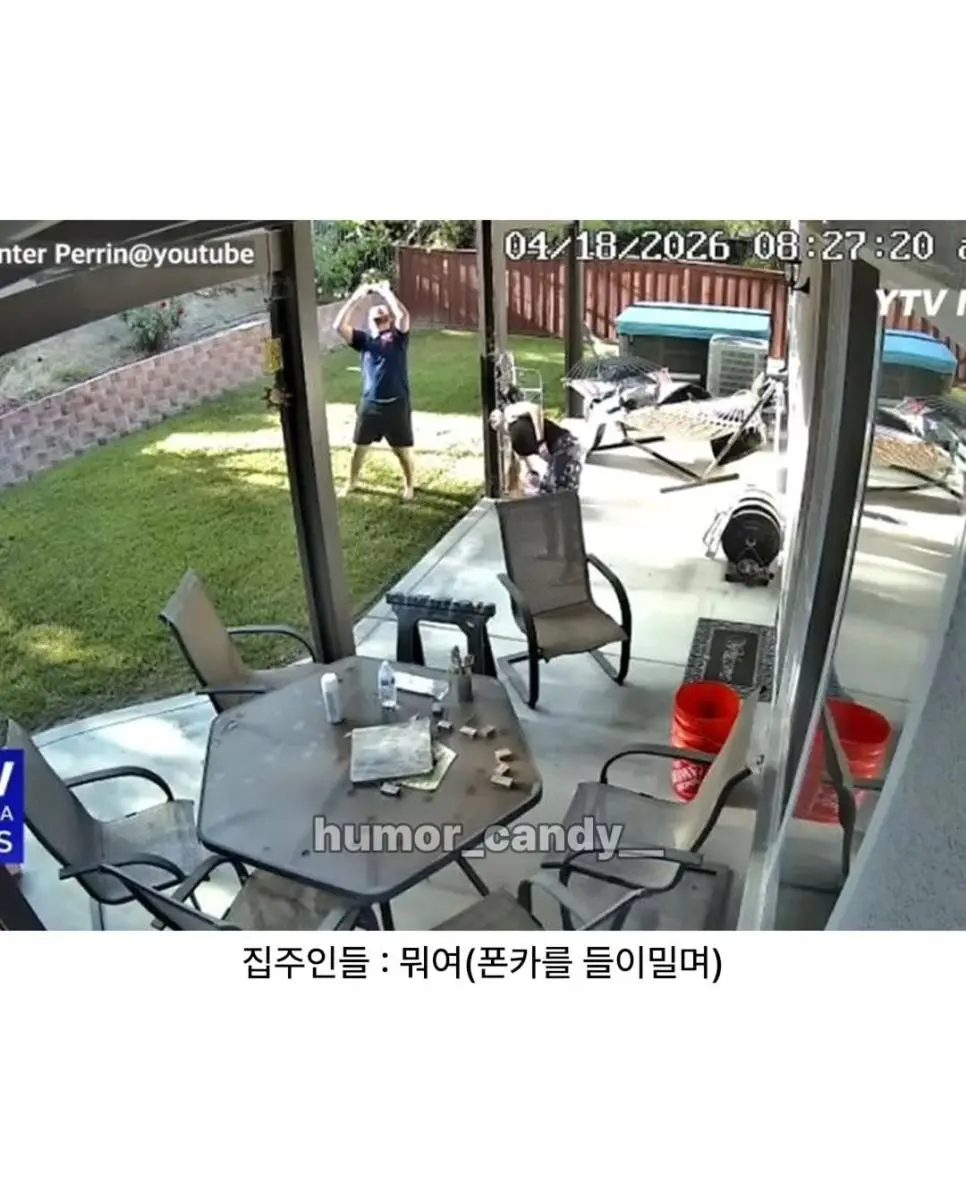 마당에 사람 탄 열기구 착륙함.jpg | mbong.kr 엠봉