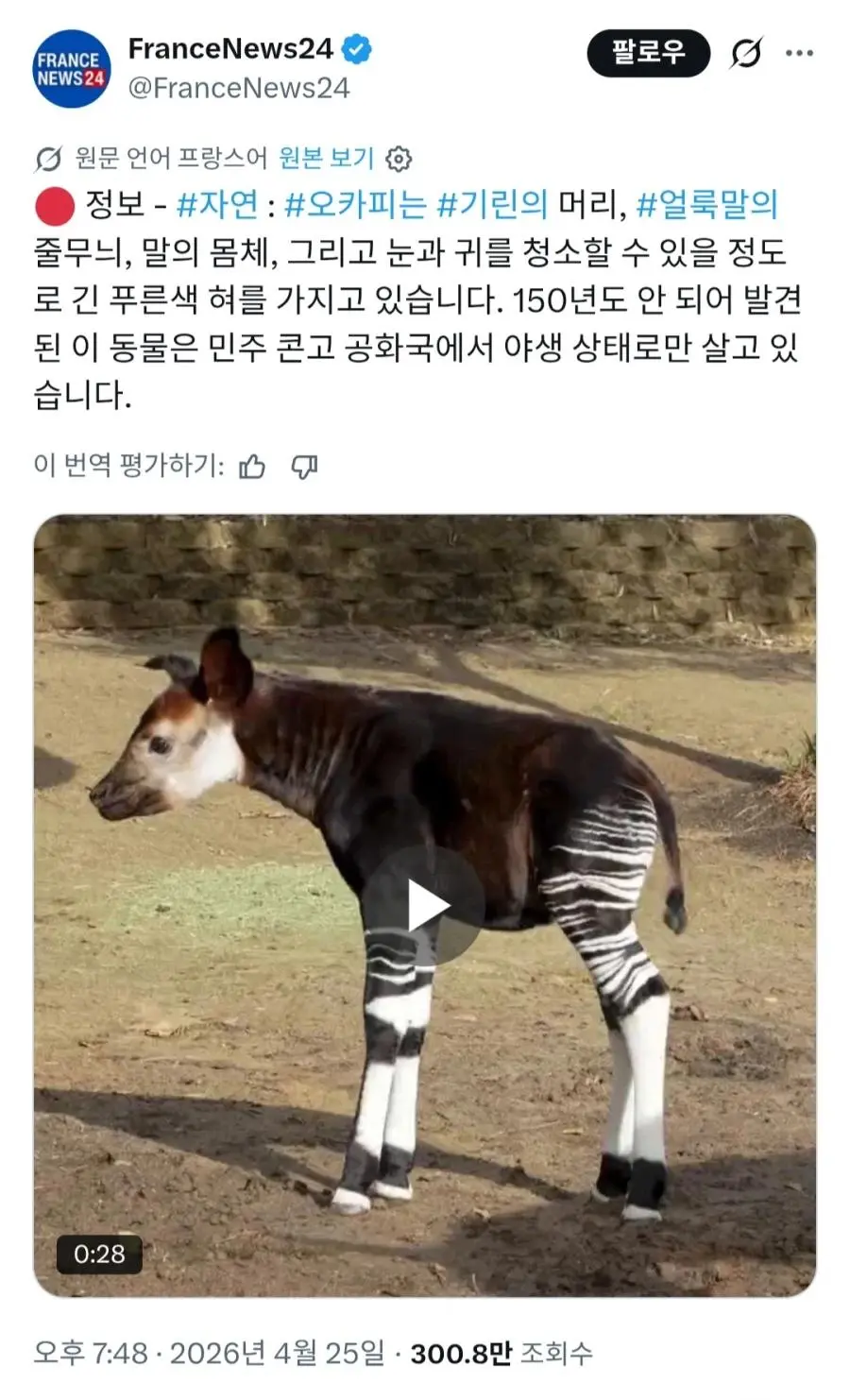 현시각 서구우월주의라고 개까이는 프랑스 언론 | mbong.kr 엠봉