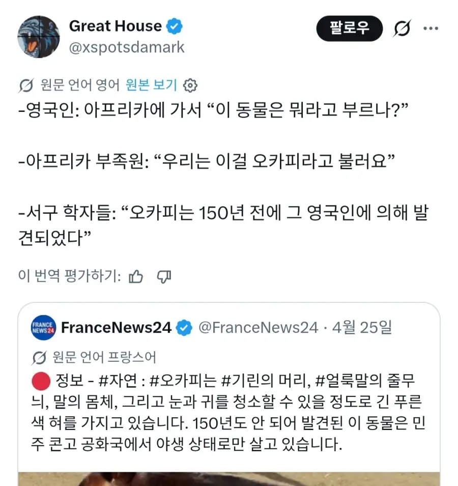 현시각 서구우월주의라고 개까이는 프랑스 언론 | mbong.kr 엠봉