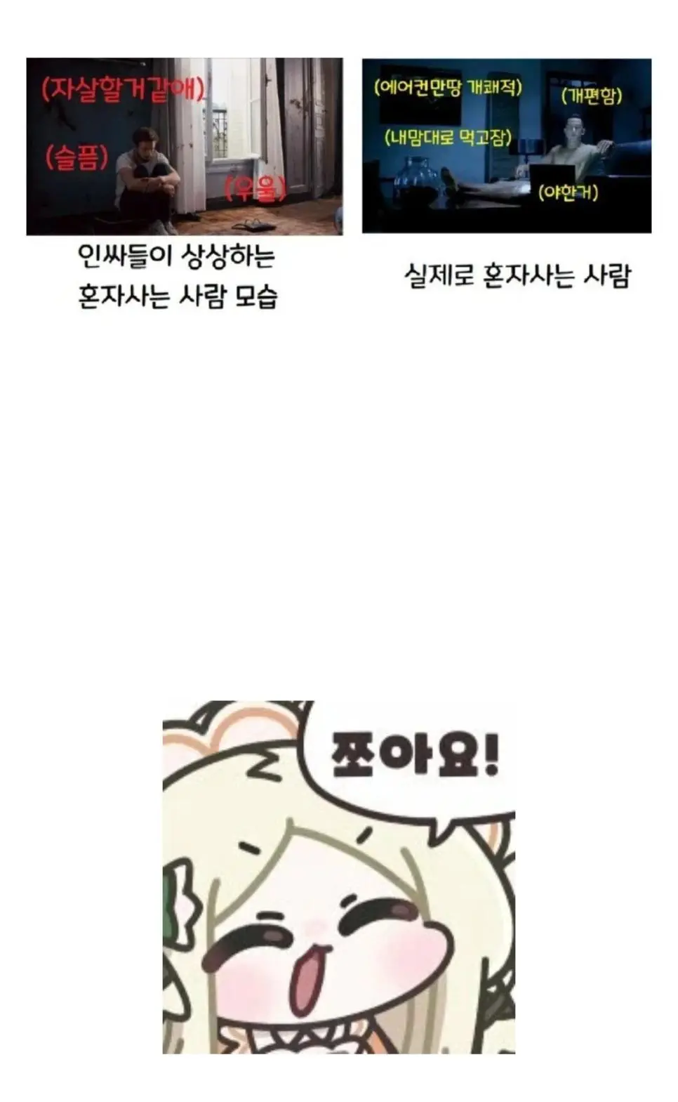 실제로 혼자 사는 사람 특징 | mbong.kr 엠봉