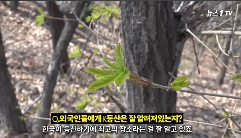 외국인들이 푹 빠진 K등산 열풍 ㄷㄷ JPG | mbong.kr 엠봉