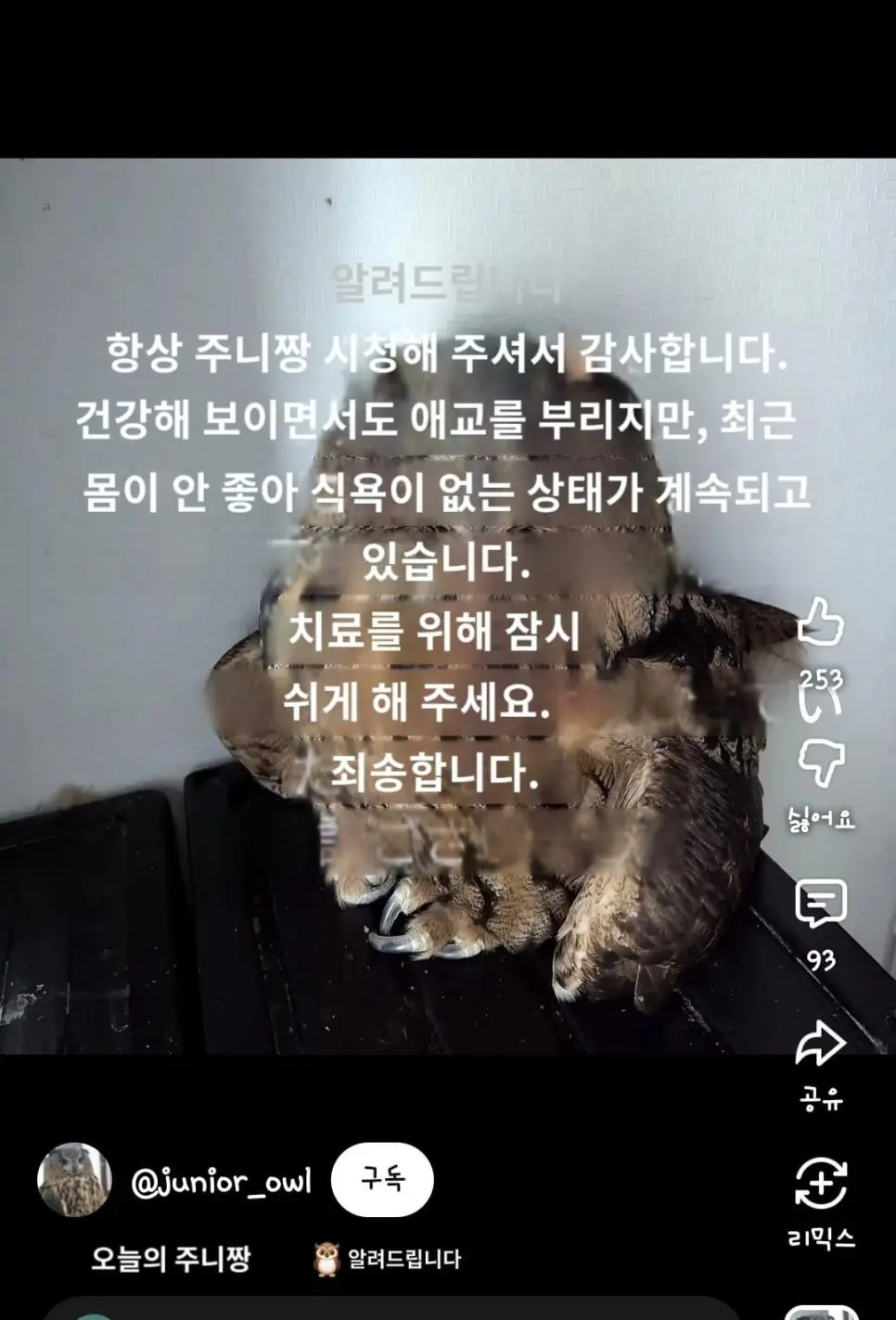 어느 일본인 유튜버가 6년만에 눈치챈 사실.mp4 | mbong.kr 엠봉