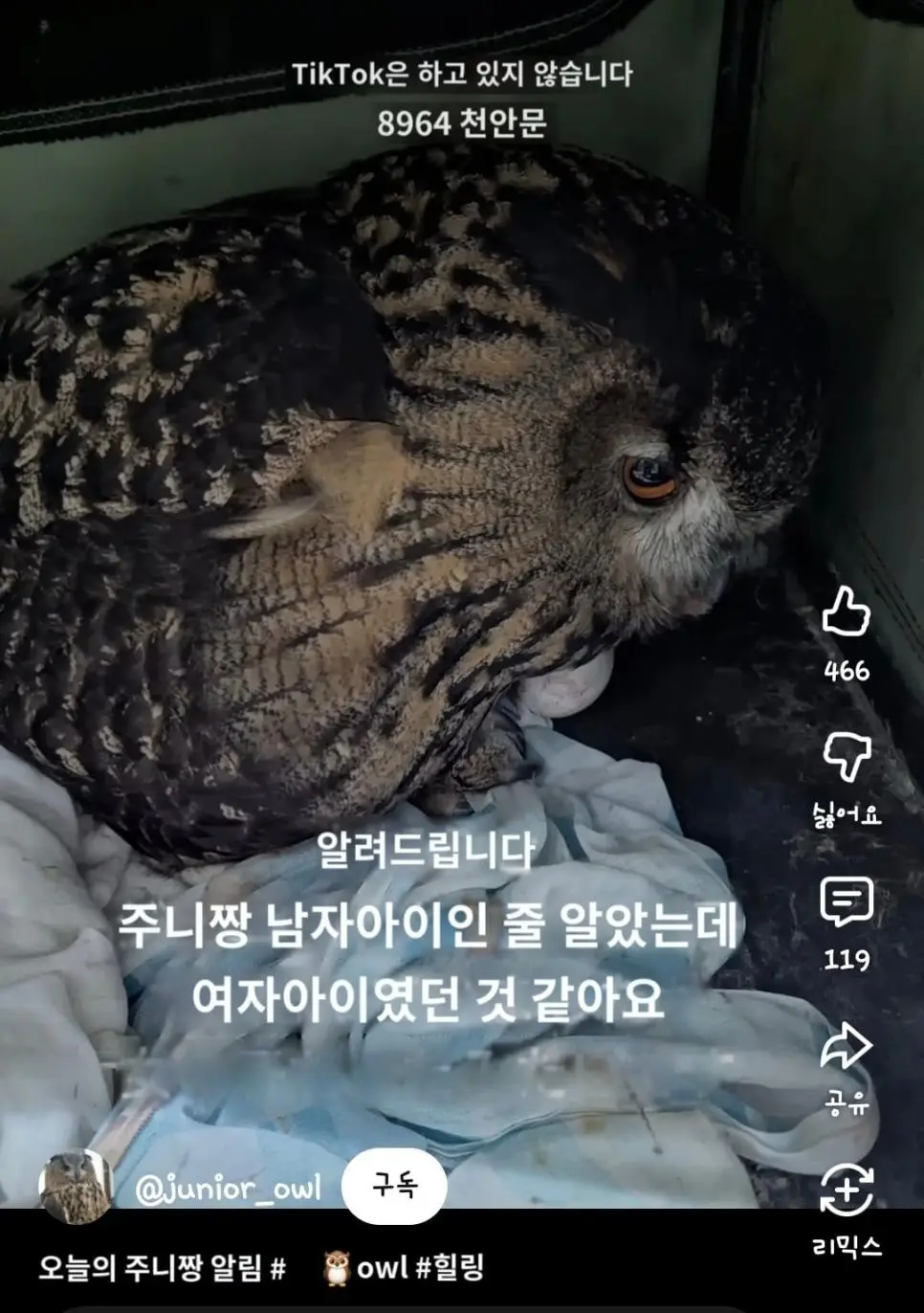 어느 일본인 유튜버가 6년만에 눈치챈 사실.mp4 | mbong.kr 엠봉