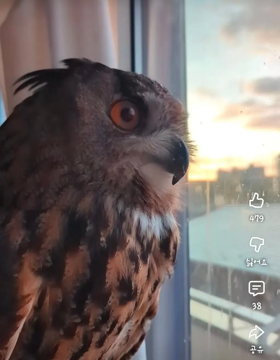 어느 일본인 유튜버가 6년만에 눈치챈 사실.mp4 | mbong.kr 엠봉