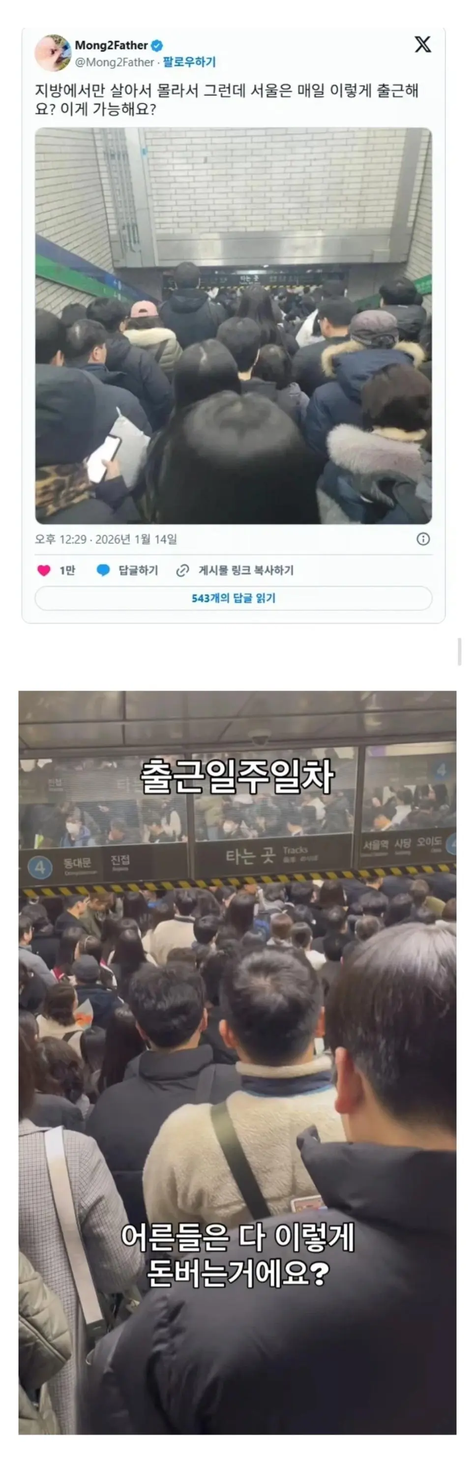 서울은 매일 이렇게 출근해요? | mbong.kr 엠봉