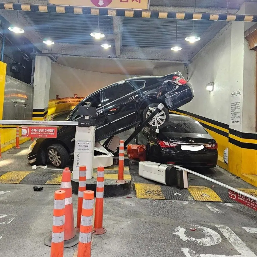 대전의 한 주차장 근황.jpg | mbong.kr 엠봉