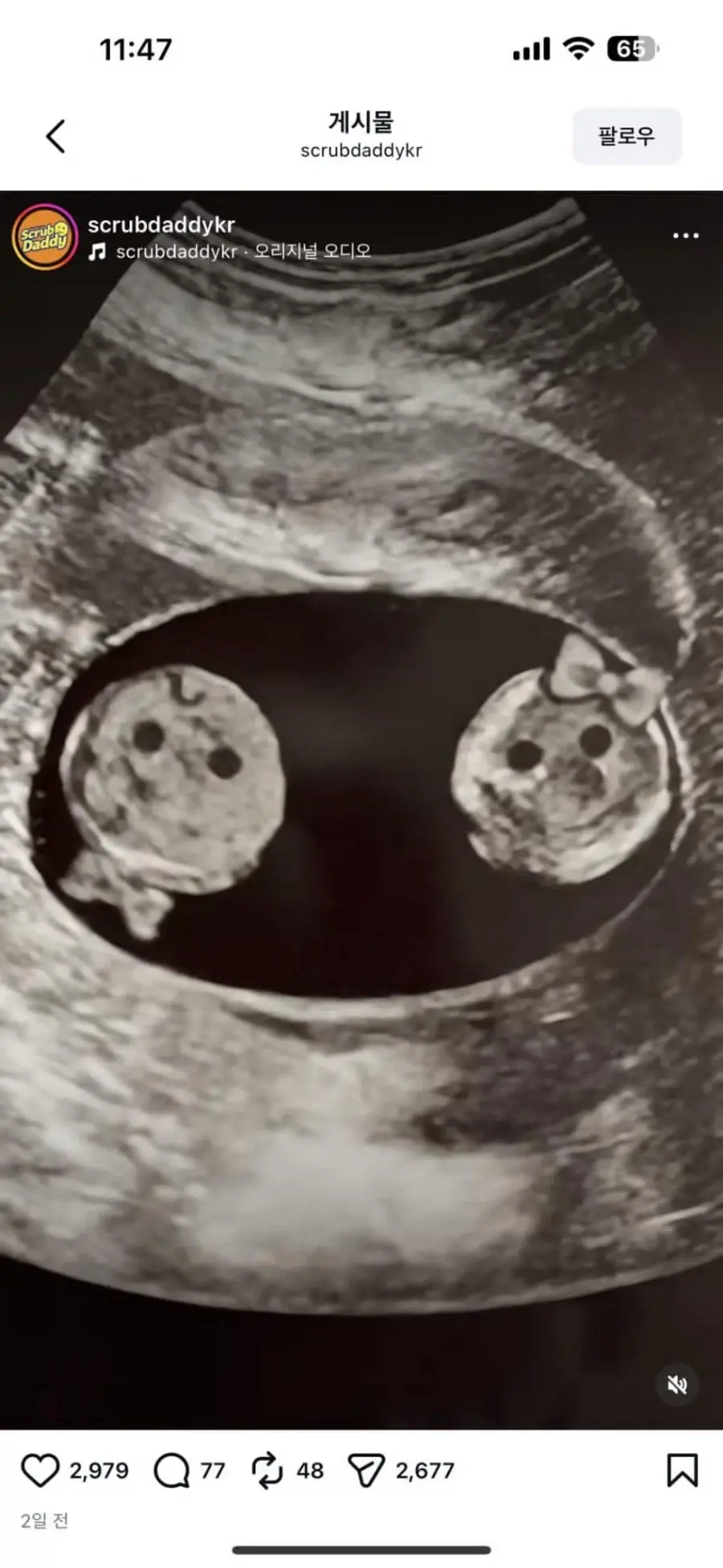 공식 계정에 임테기 올린 담당자 | mbong.kr 엠봉