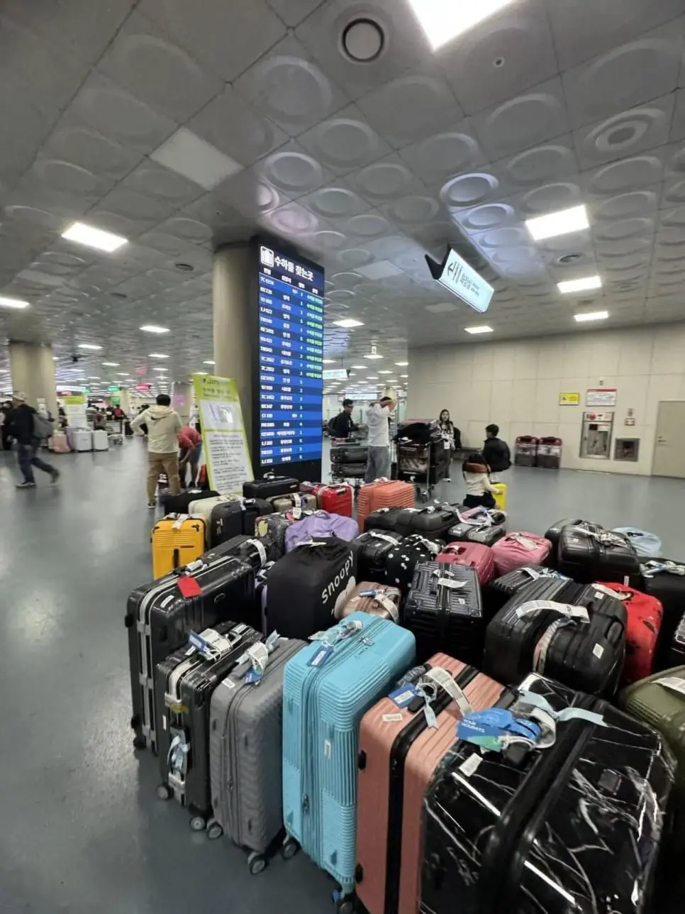 최근 심각해졌다는 부산(김해) 공항 상황 .jpg | mbong.kr 엠봉