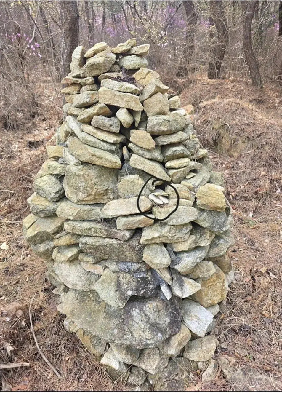 50만원 주운 디씨인 | mbong.kr 엠봉