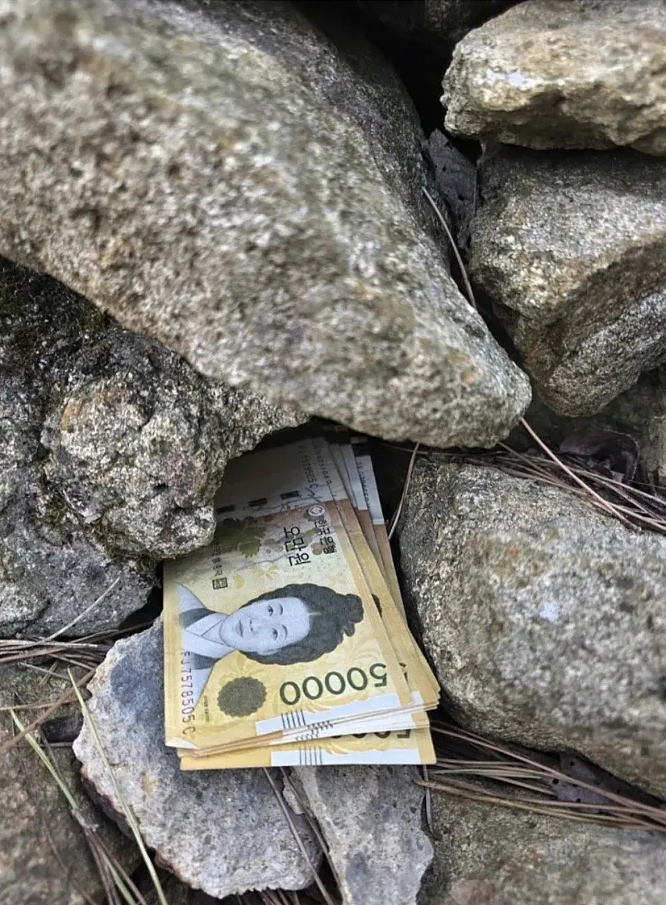 50만원 주운 디씨인 | mbong.kr 엠봉