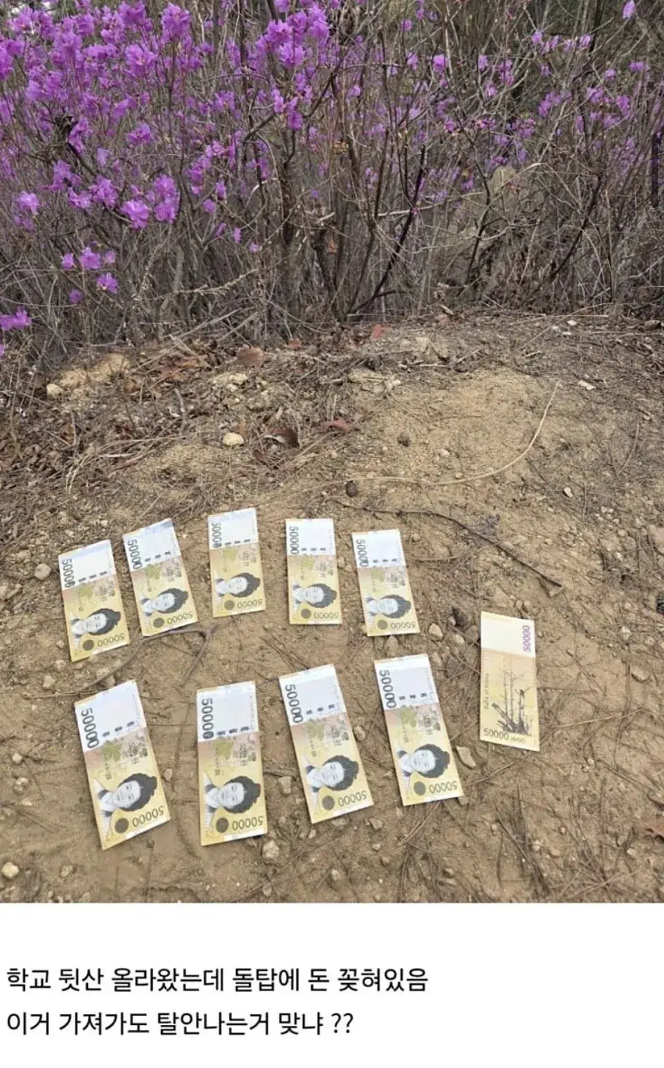 50만원 주운 디씨인 | mbong.kr 엠봉