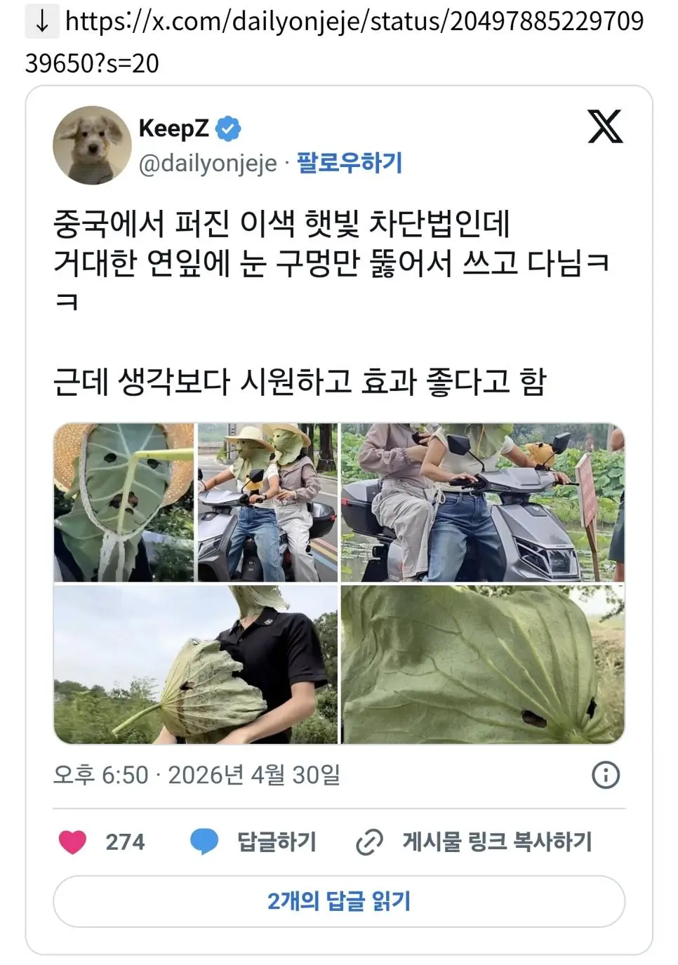 중국에서 퍼지고 있다는 햇빛 차단법 | mbong.kr 엠봉
