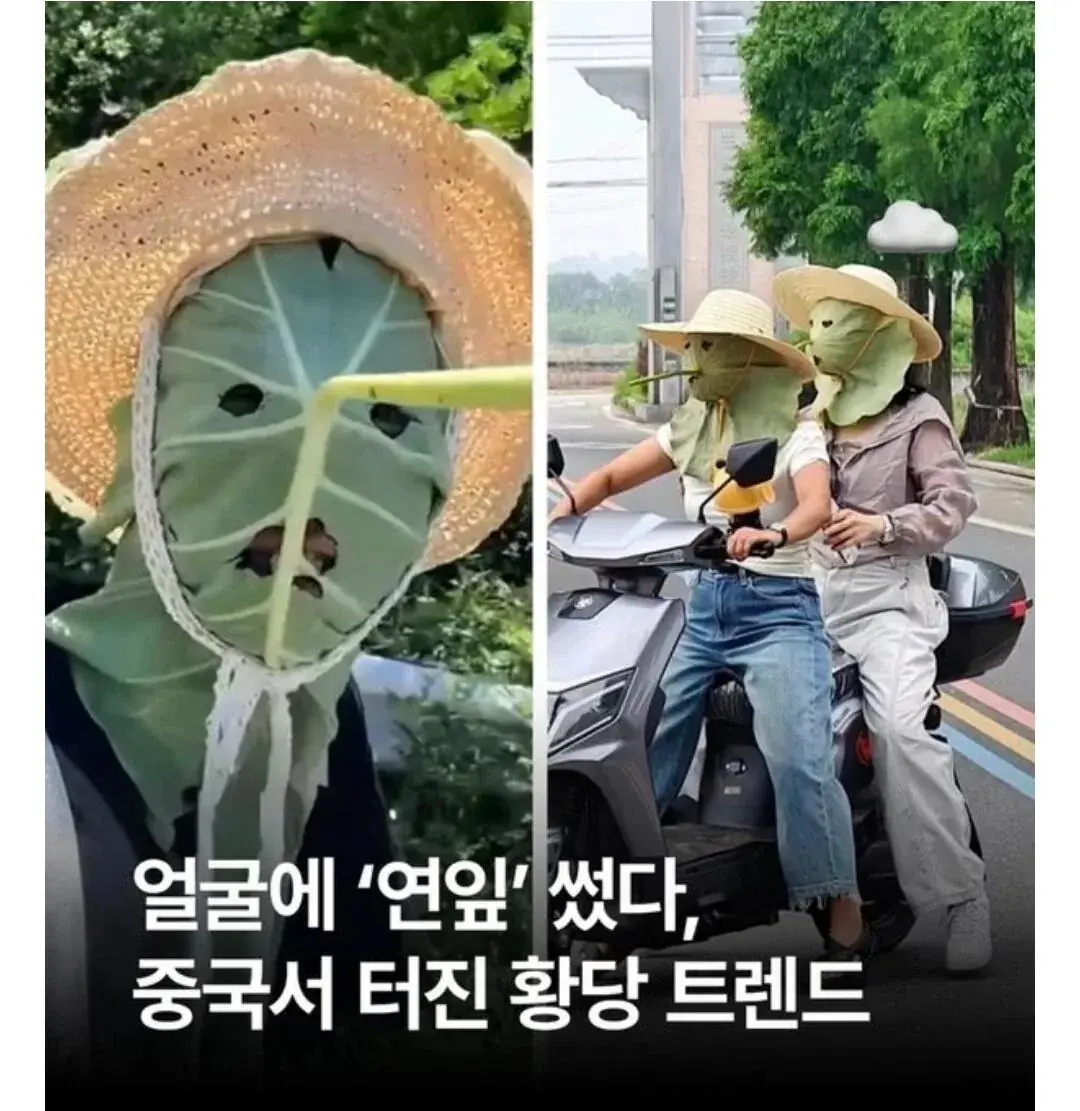 중국에서 퍼지고 있다는 햇빛 차단법 | mbong.kr 엠봉