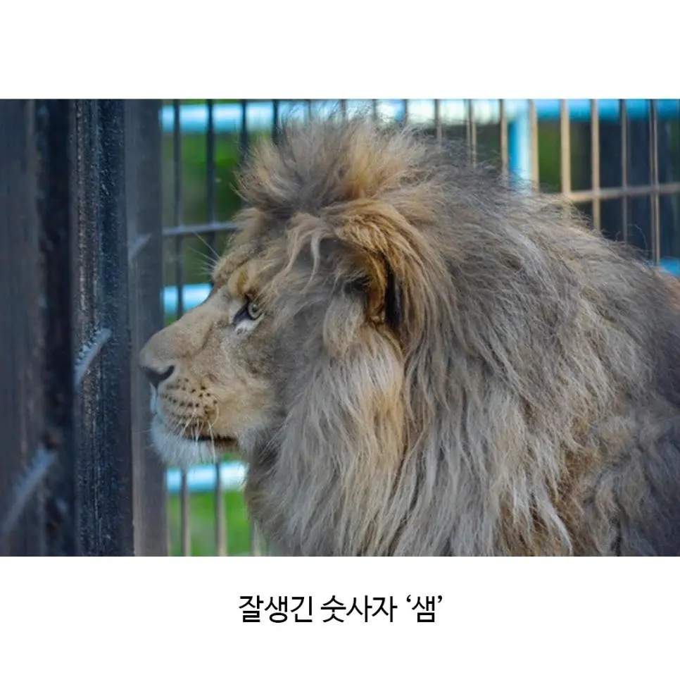 KXslG.webp