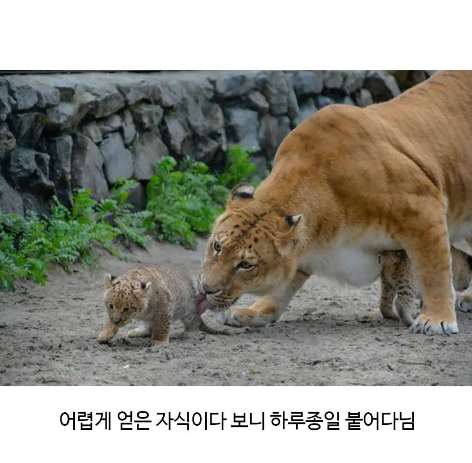 KXslK.webp