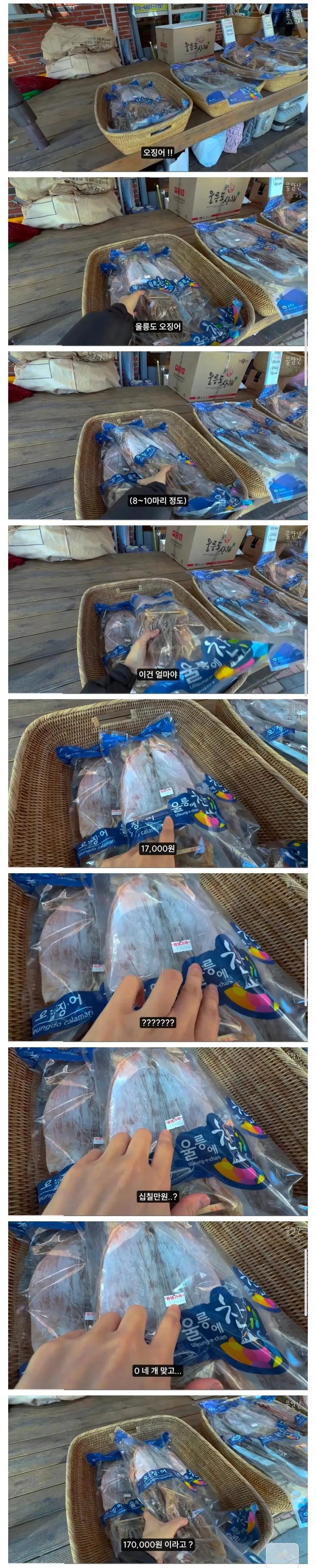 울릉도 오징어 가격 | mbong.kr 엠봉
