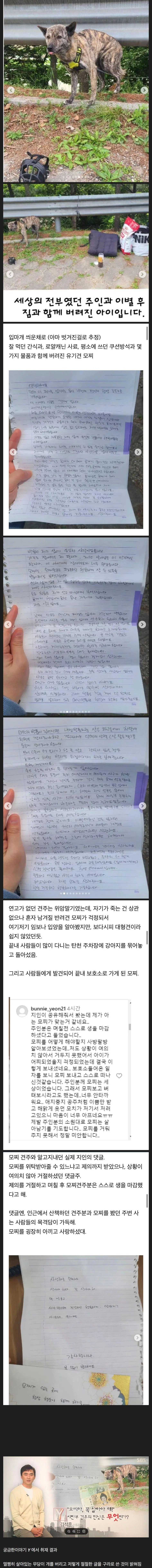 탄천주차장 버려진강아지 결말 | mbong.kr 엠봉