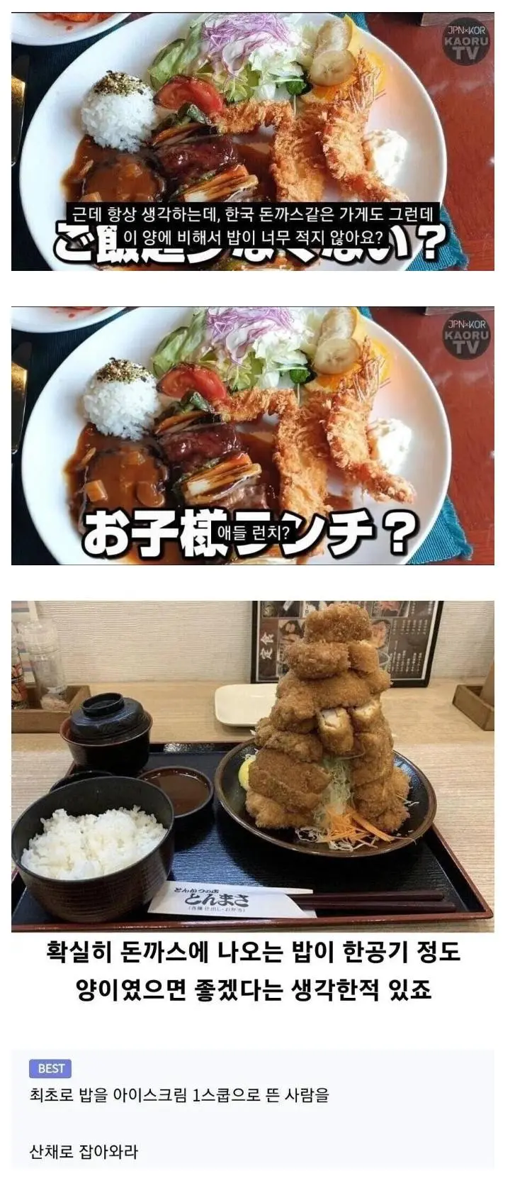 한국 돈까스에 불만이 많은 일본인..jpg | mbong.kr 엠봉