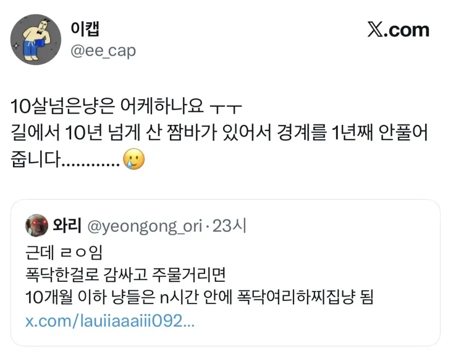 길고양이 입양했는데 경계를 안품.jpg | 인스티즈