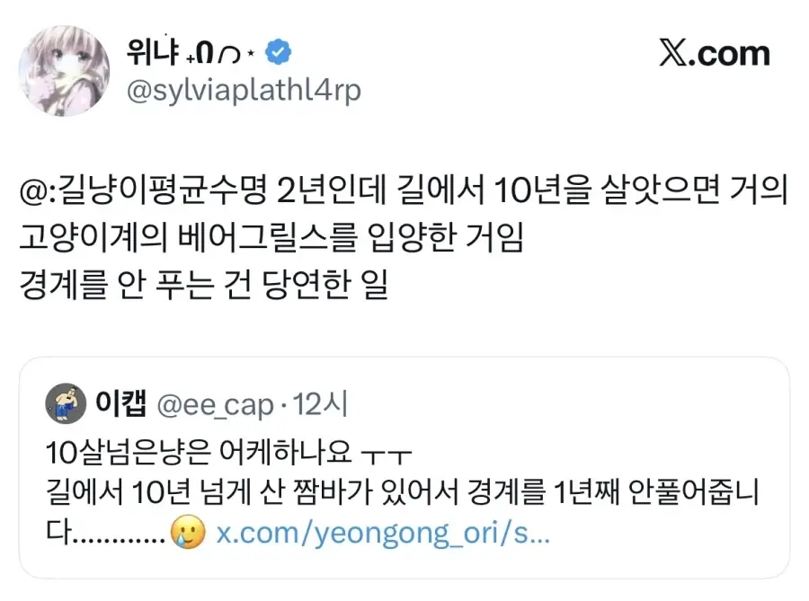 길고양이 입양했는데 경계를 안품.jpg | 인스티즈