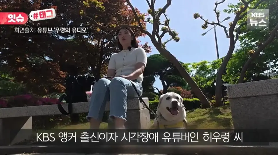 "우리 캠핑장은 사유지라”…KBS 앵커 출신 유튜버, 안내견 거부당했다 | 인스티즈