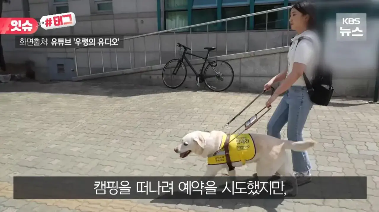 "우리 캠핑장은 사유지라”…KBS 앵커 출신 유튜버, 안내견 거부당했다 | 인스티즈