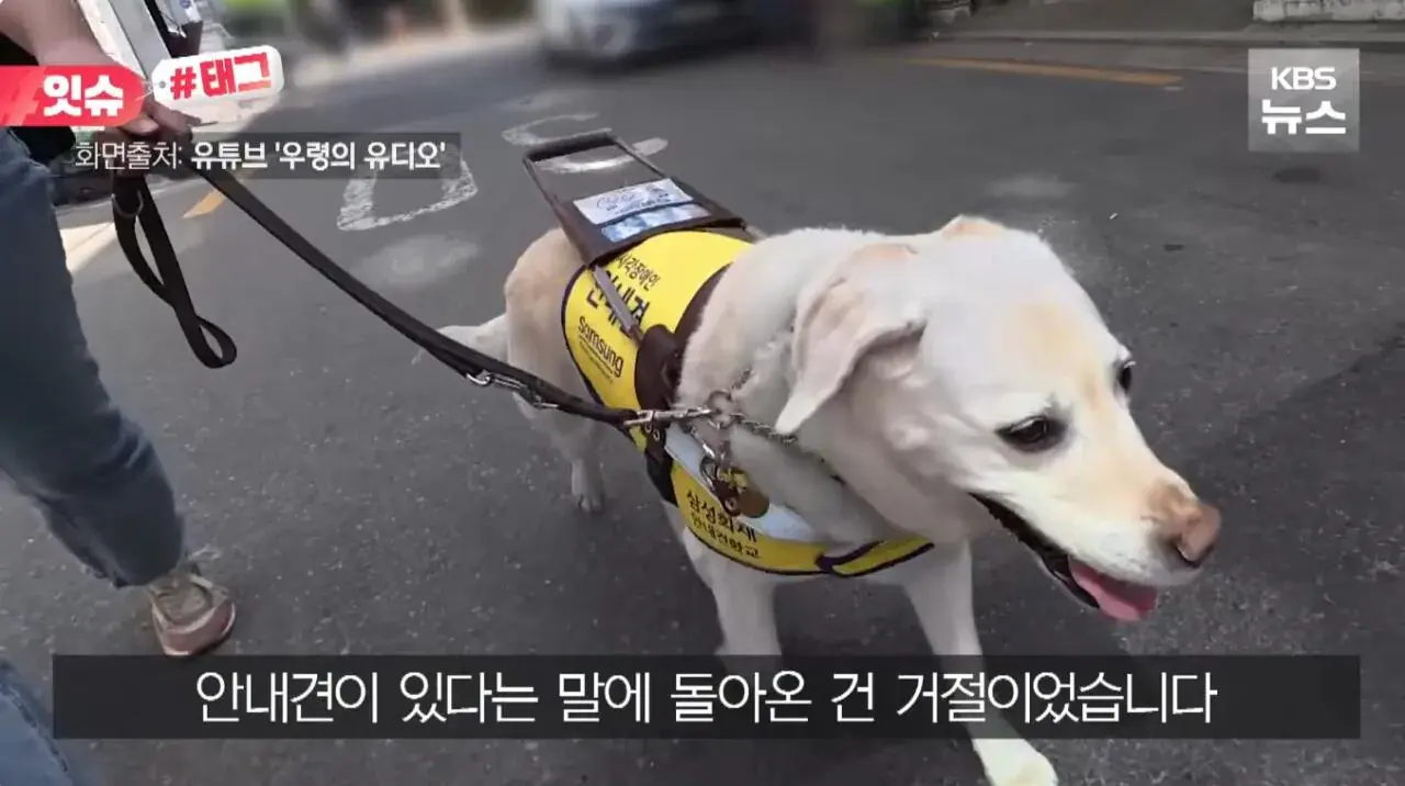 "우리 캠핑장은 사유지라”…KBS 앵커 출신 유튜버, 안내견 거부당했다 | 인스티즈