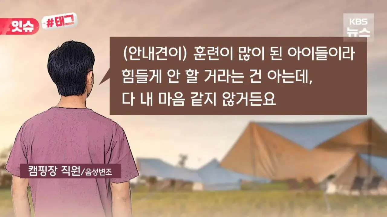 "우리 캠핑장은 사유지라”…KBS 앵커 출신 유튜버, 안내견 거부당했다 | 인스티즈