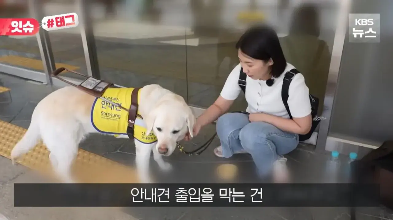 "우리 캠핑장은 사유지라”…KBS 앵커 출신 유튜버, 안내견 거부당했다 | 인스티즈