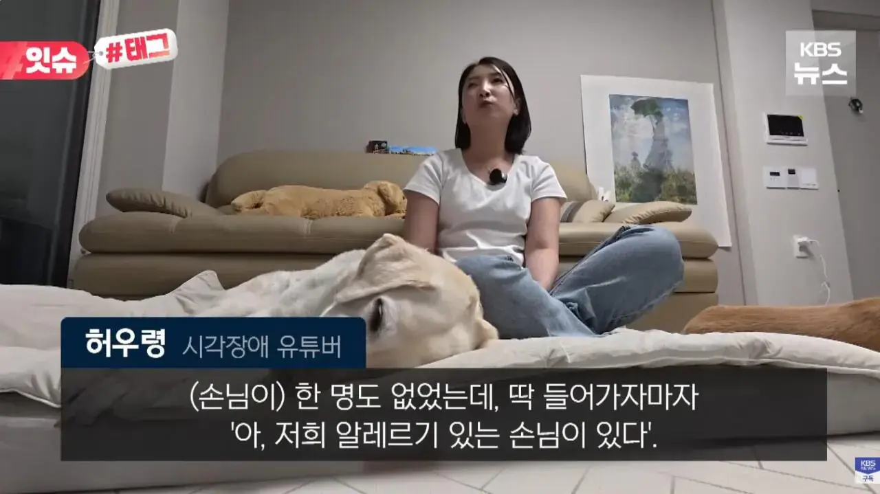 "우리 캠핑장은 사유지라”…KBS 앵커 출신 유튜버, 안내견 거부당했다 | 인스티즈