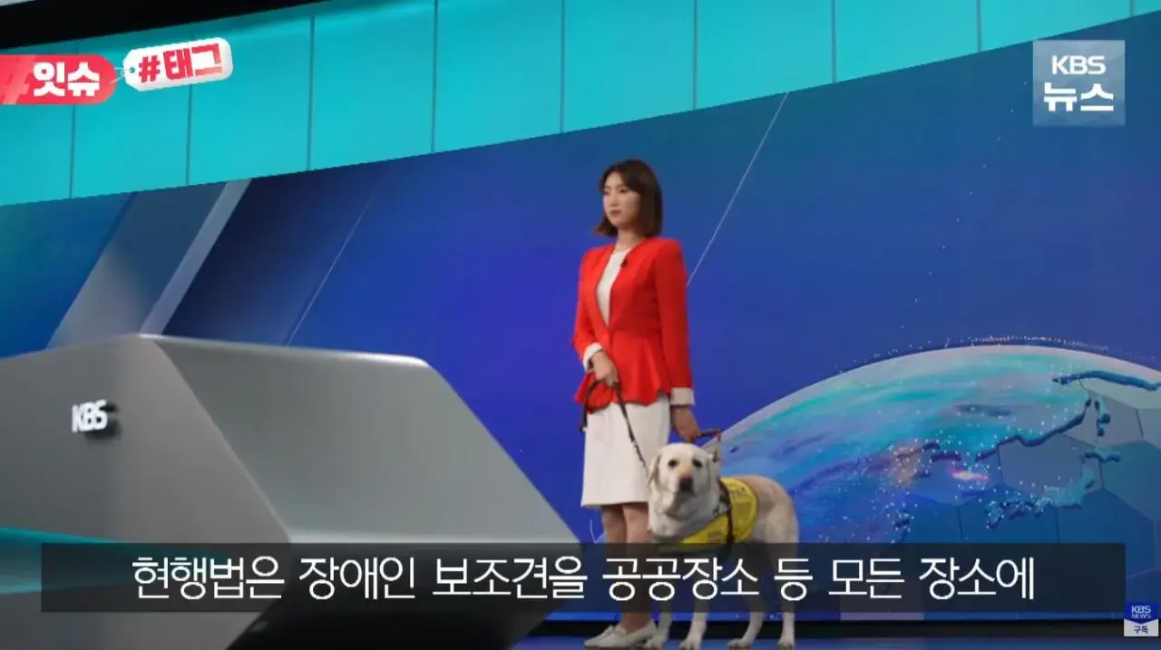 "우리 캠핑장은 사유지라”…KBS 앵커 출신 유튜버, 안내견 거부당했다 | 인스티즈