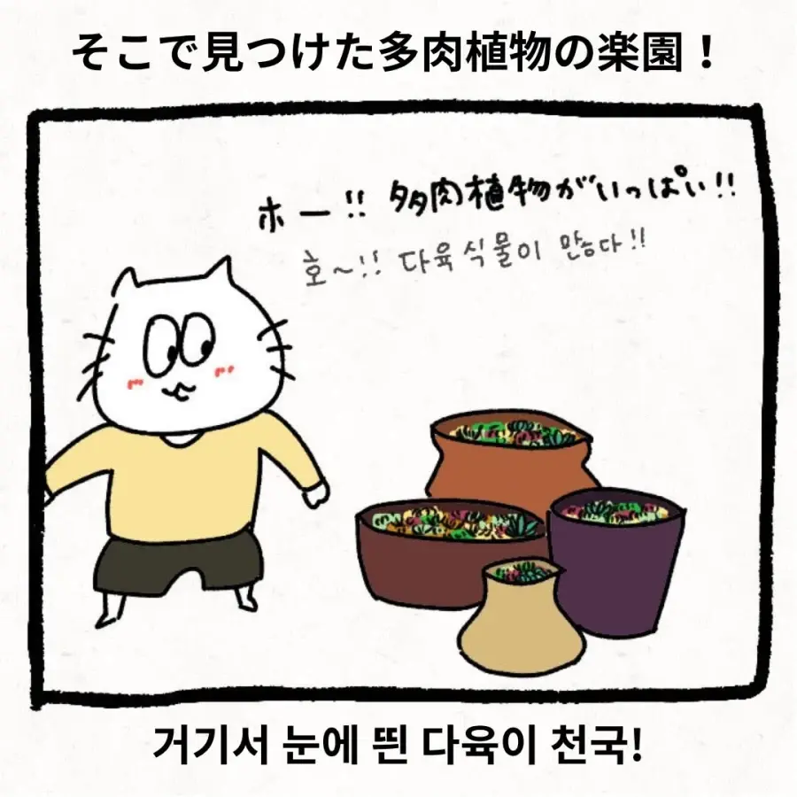 한국 시댁에 와서 이것저것 가져가는 며느리 | 인스티즈