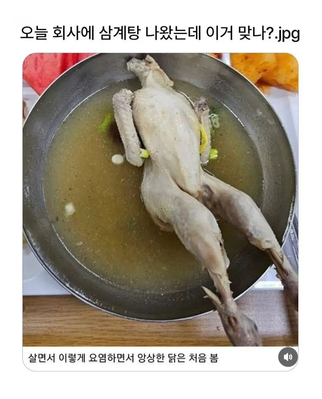 오늘 회사에서 삼계탕 나왔는데 이거 맞아? | 인스티즈