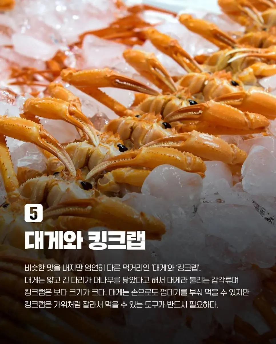 비슷하지만 다른 음식 7가지.jpg | 인스티즈